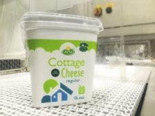 Arla Cottage Cheese